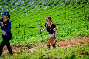 BIB: 
                            <button type="button" onclick="openModal(19164191)" class="btn btn-primary btn-sm float-right btn-popup" data-toggle="modal" data-target=".modal-high-quality">
                        <i class="fas fa-shopping-cart"></i> Add to Cart
                    </button>
                                            <button type="button" onclick="isThisMe(19164191, true)" class="btn btn-success btn-sm float-right btn-popup btn-isme hidden" data-toggle="tooltip" data-placement="bottom" title="นี่คือรูปของคุณใช่ไหม คลิกที่นี่เพื่อเอาเข้าอัลบั้ม">
                        <i class="fas fa-plus"></i> Add to album
                    </button>
                    <button type="button" onclick="isThisMe(19164191, false)" class="btn btn-warning btn-sm float-right btn-popup btn-isnotme hidden">
                        <i class="fas fa-ban"></i> Remove from album
                    </button>